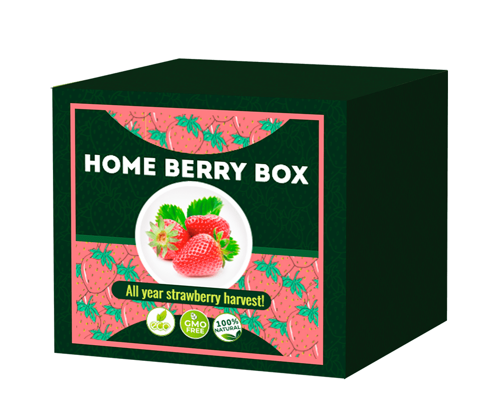 Home Berry Box - preço - criticas - forum - contra indicações